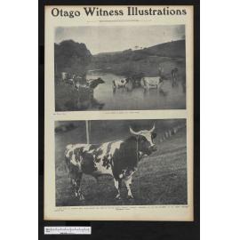1905-01-18 Otago Witness