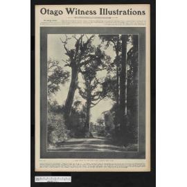 1905-02-01 Otago Witness