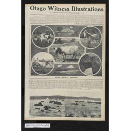 1905-02-08 Otago Witness
