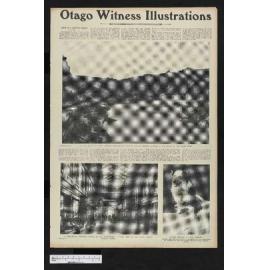 1905-02-22 Otago Witness