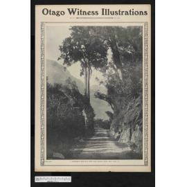 1905-03-01 Otago Witness