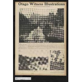1905-04-19 Otago Witness