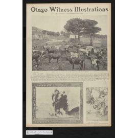 1905-05-31 Otago Witness