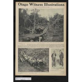 1905-08-02 Otago Witness