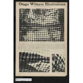 1905-08-30 Otago Witness