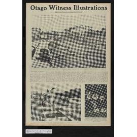 1906-03-28 Otago Witness