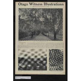 1906-04-04 Otago Witness
