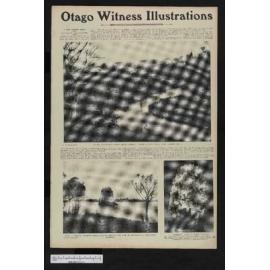 1906-04-11 Otago Witness