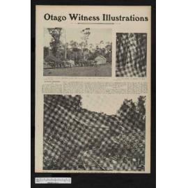 1906-06-13 Otago Witness