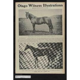 1906-08-08 Otago Witness