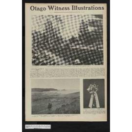 1906-08-15 Otago Witness