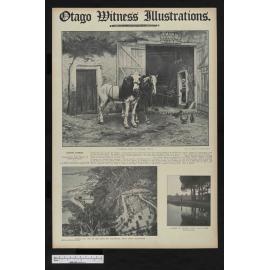 1908-01-22 Otago Witness