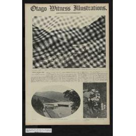 1908-02-19 Otago Witness