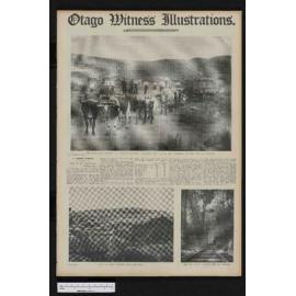 1908-07-08 Otago Witness