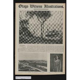 1908-07-15 Otago Witness