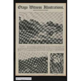 1908-08-05 Otago Witness