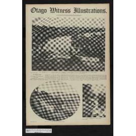 1908-09-23 Otago Witness
