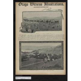 1908-12-30 Otago Witness