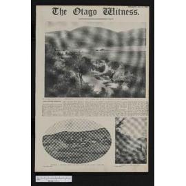 1909-07-21 Otago Witness