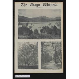 1913-09-17 Otago Witness