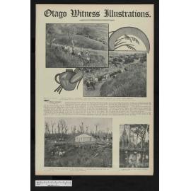 1907-08-21 Otago Witness