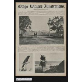 1907-09-11 Otago Witness