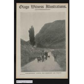 1907-11-13 Otago Witness