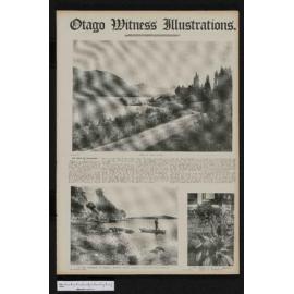 1907-11-20 Otago Witness