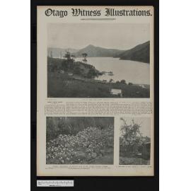 1907-11-27 Otago Witness