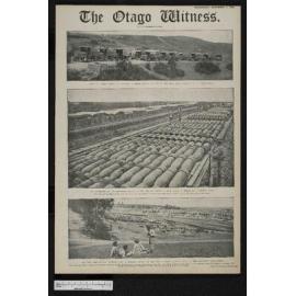 1916-11-01 Otago Witness