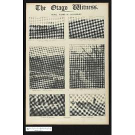 1923-07-31 Otago Witness