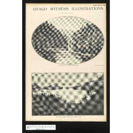 1924-08-19 Otago Witness