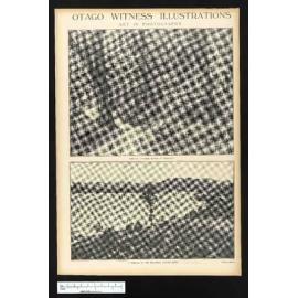 1924-09-23 Otago Witness