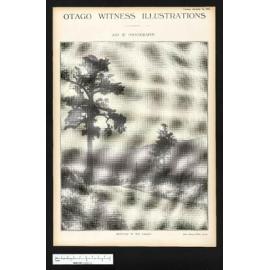 1924-12-23 Otago Witness