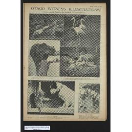 1926-10-26 Otago Witness
